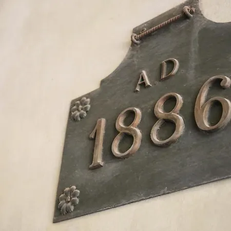 7 Seven * ビエッラ