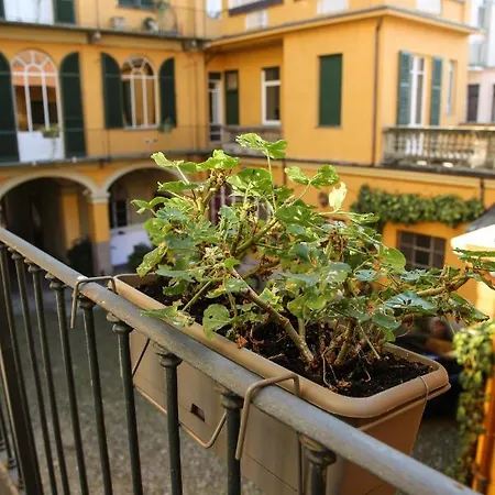 7 Seven * ビエッラ